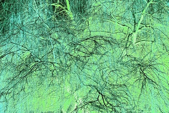 T 095E